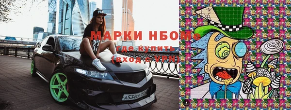 сатива Осинники