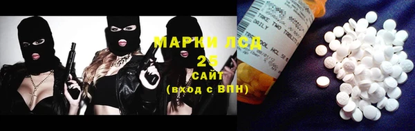 сатива Осинники